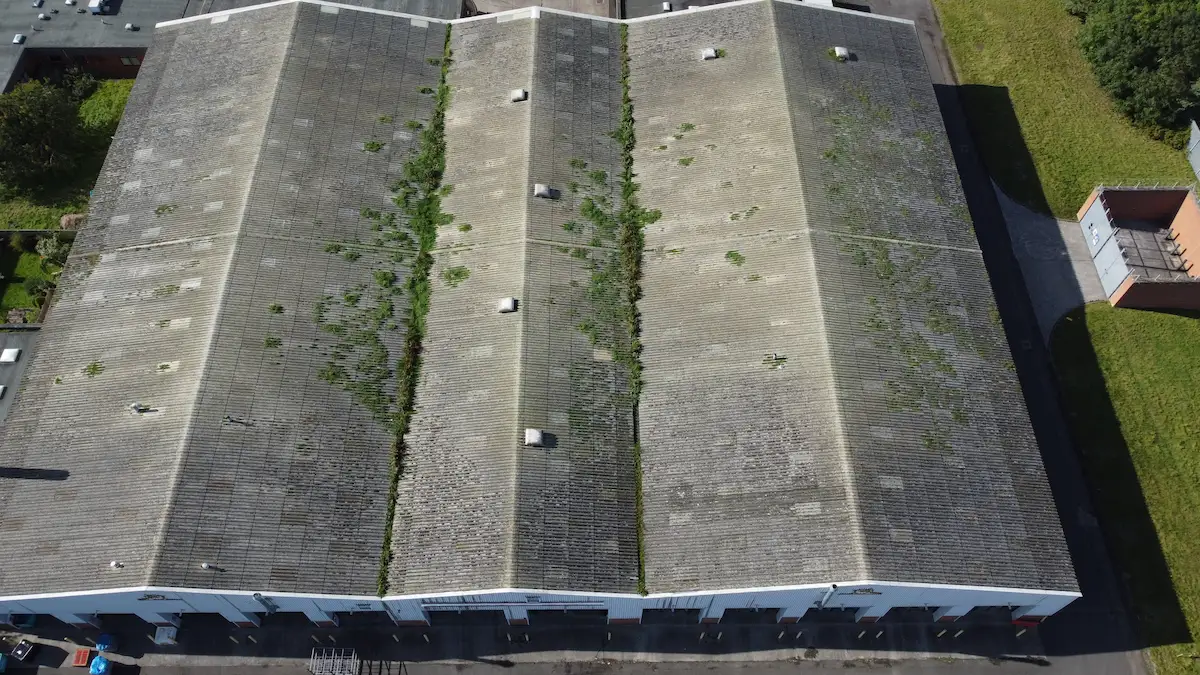 Warehouse roof with vegetation growing in cracks.